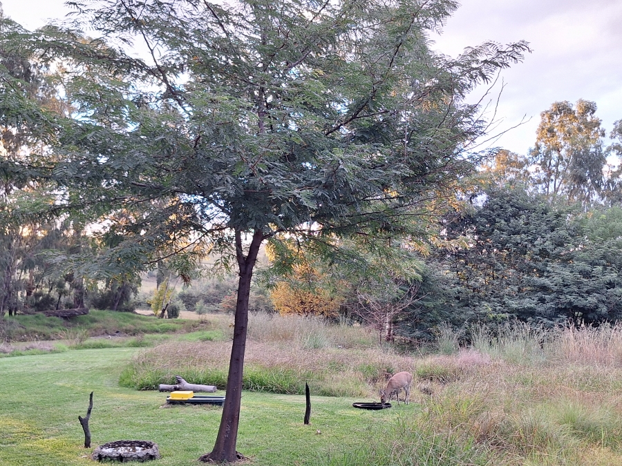 3 Bedroom Property for Sale in Vrede Free State